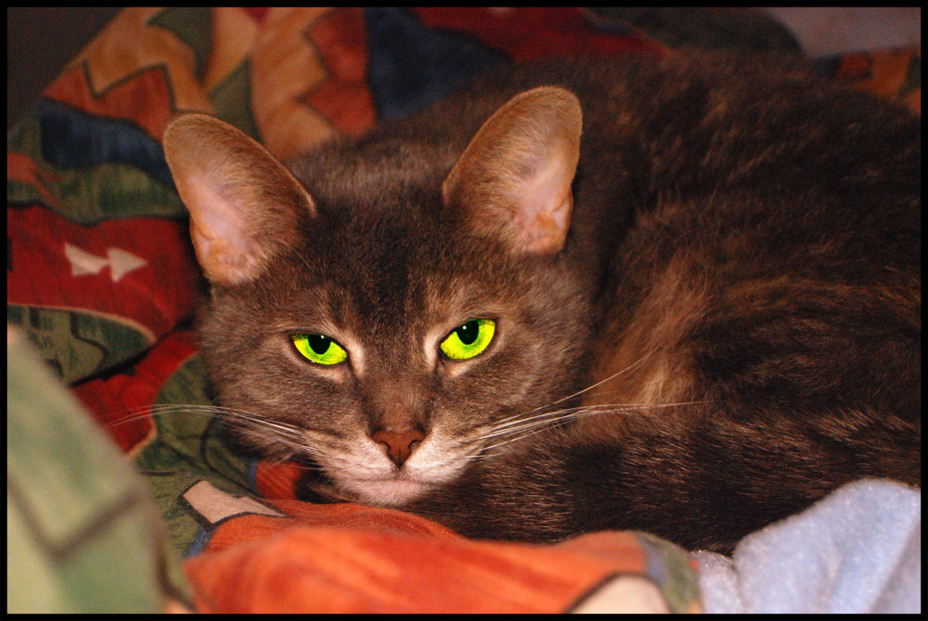 More than meets the eye