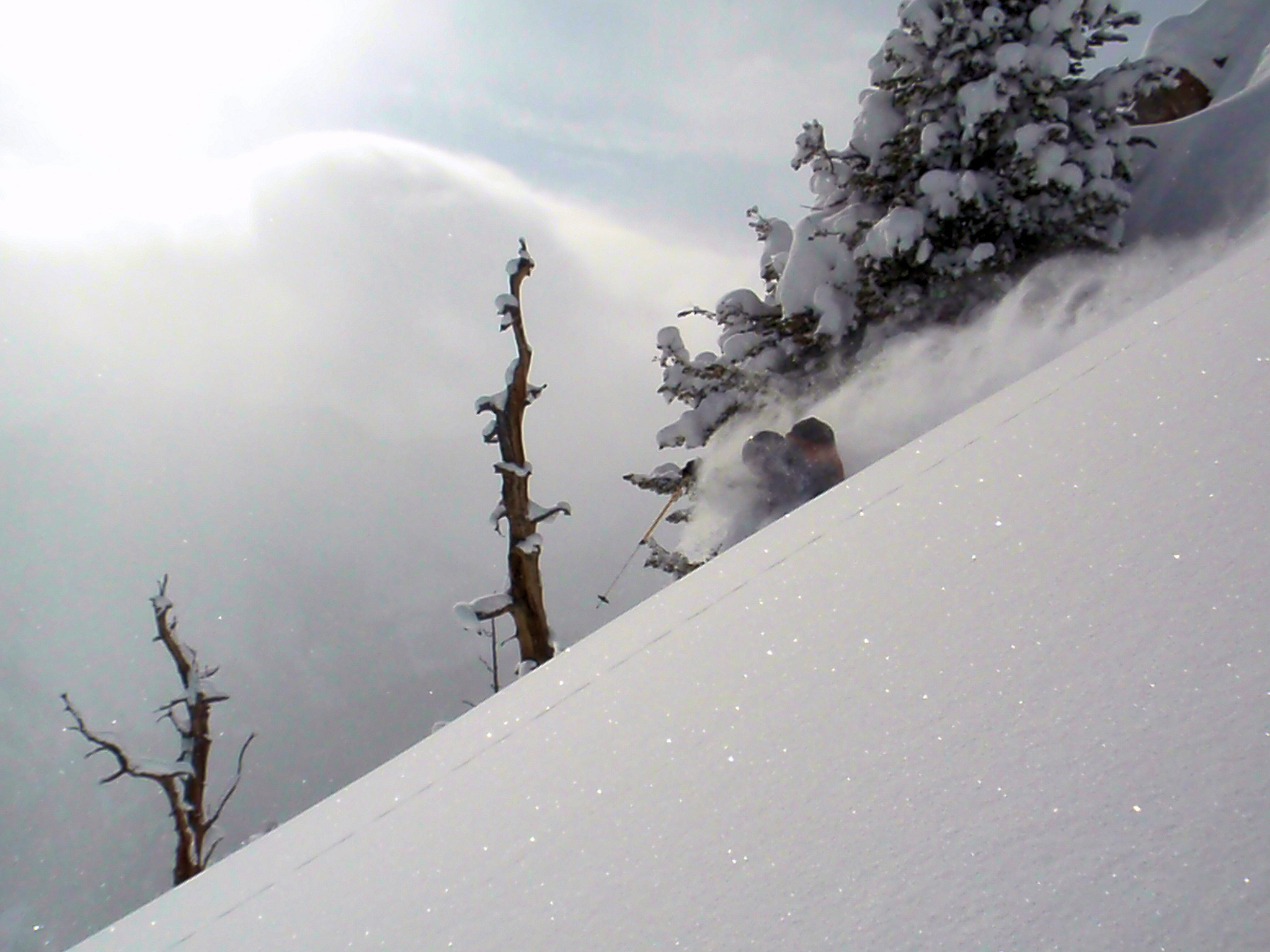 More Wasatch Pow 1