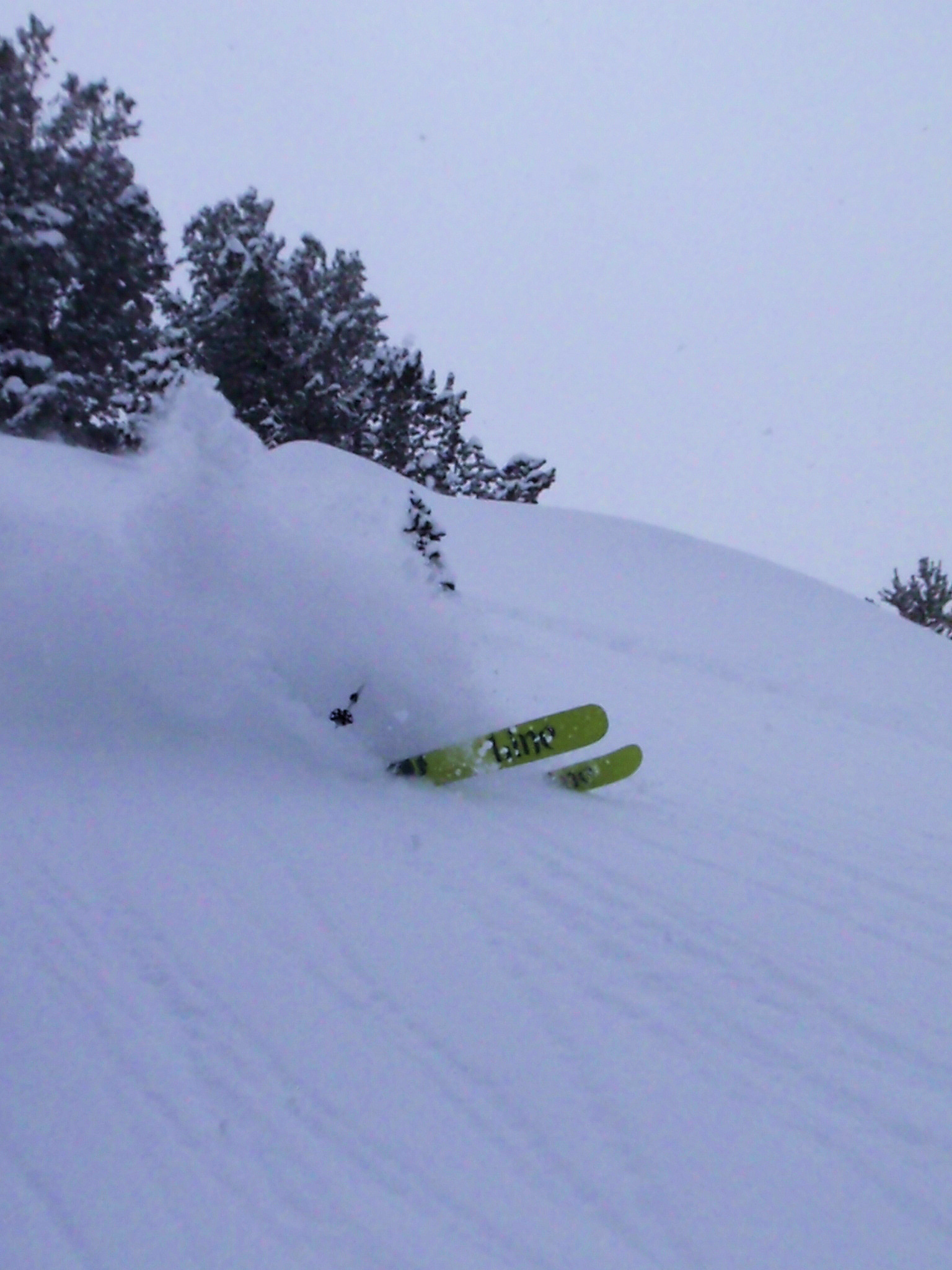 More Wasatch Pow