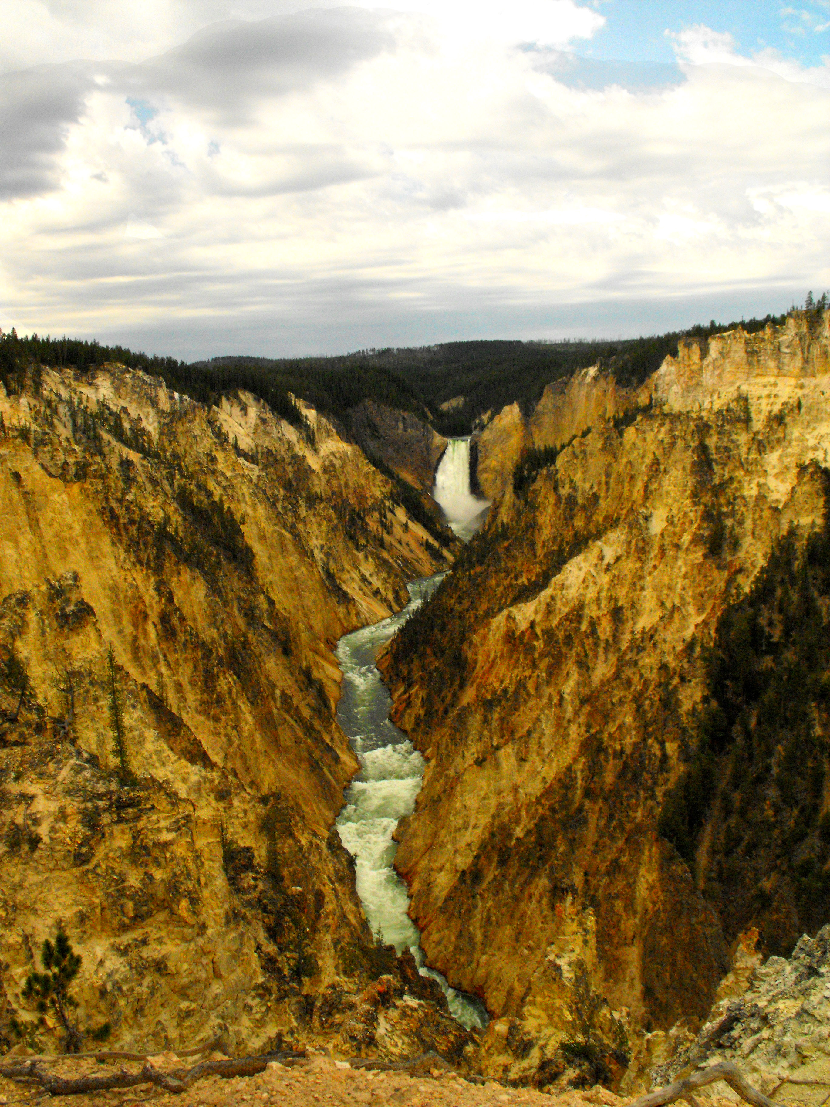 More yellowstone