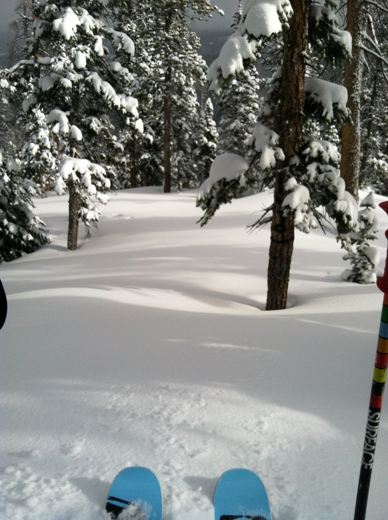 Morning stroll through the woods.