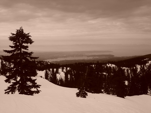 mount seymour view