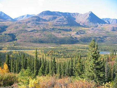 Mountain bowl and Wells Creek