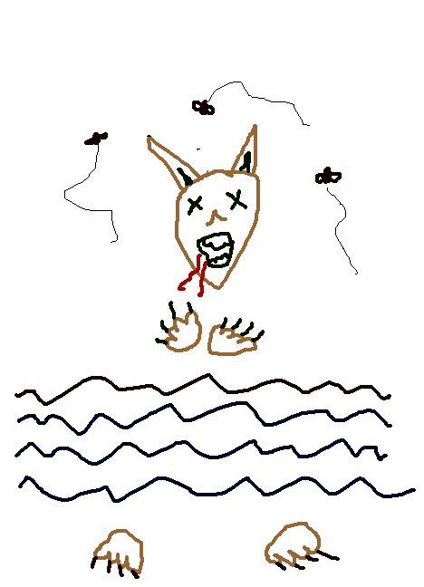 Mr. Cat, The untimely demise of a great cat