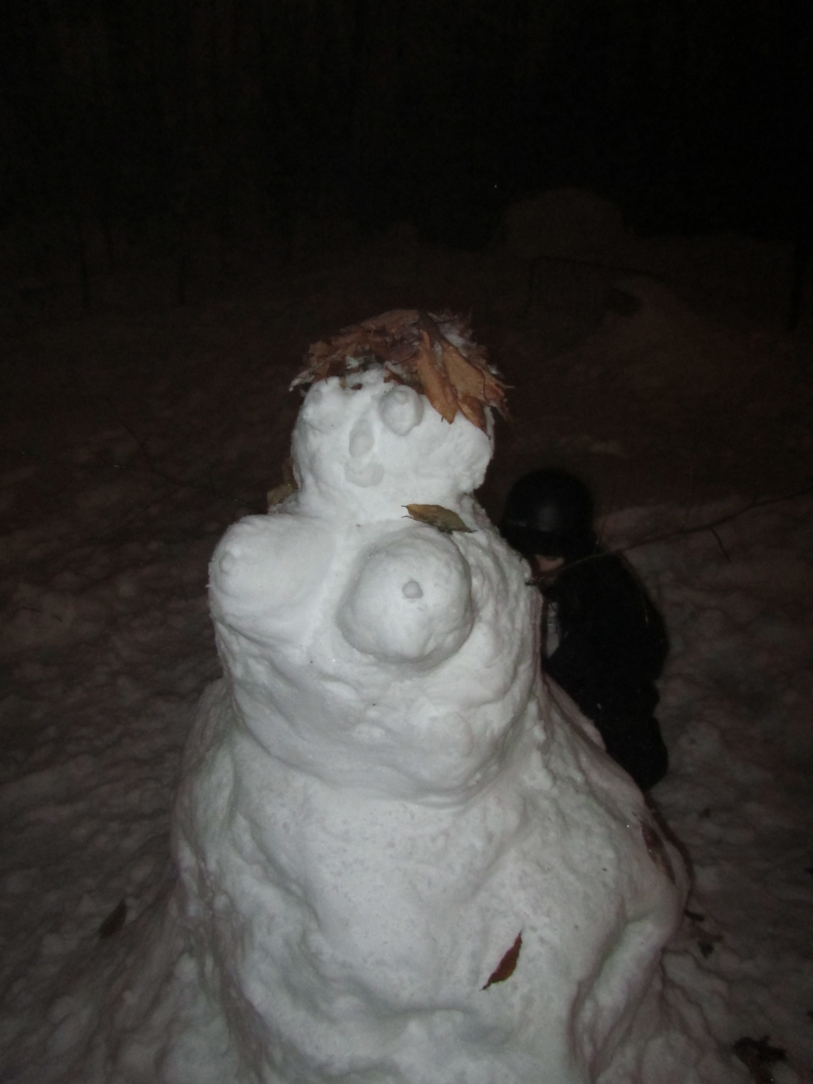 mr jibsnowmans
