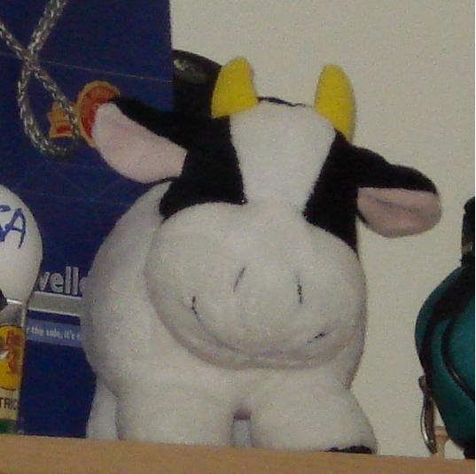 MR. MOO COW
