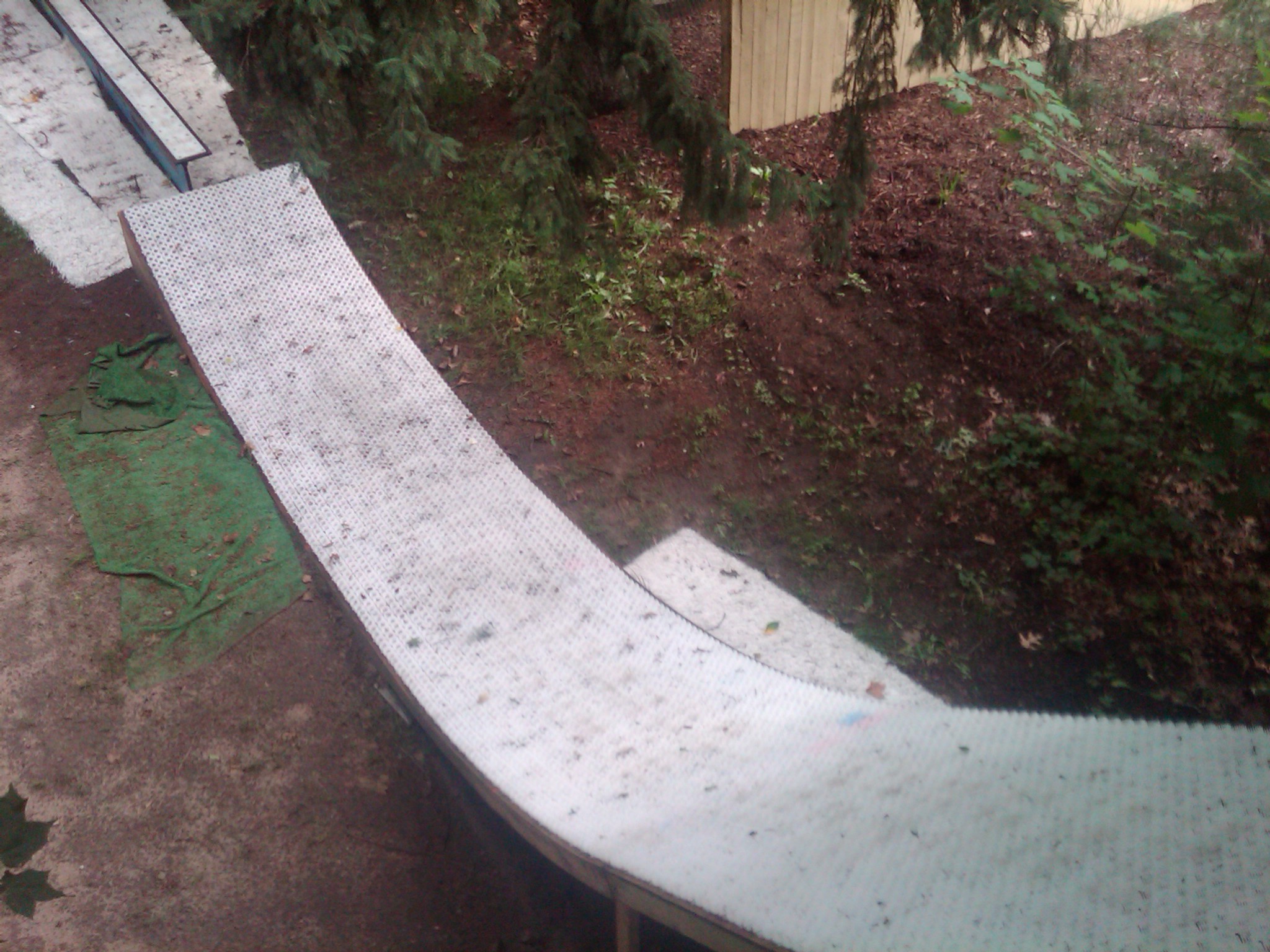 MSnow view from tree house