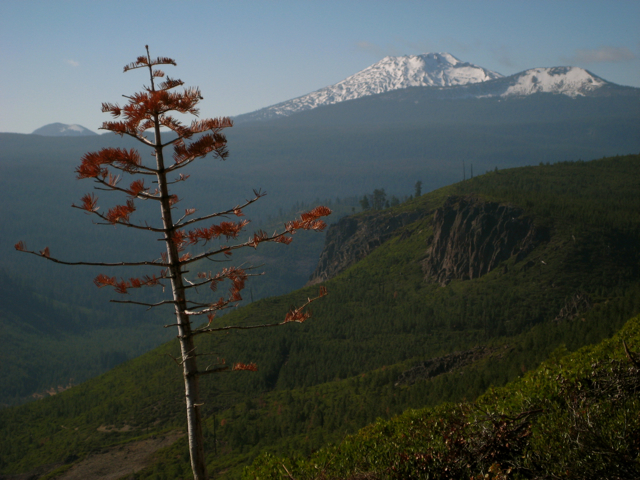 Mt. Bachelor last Fall