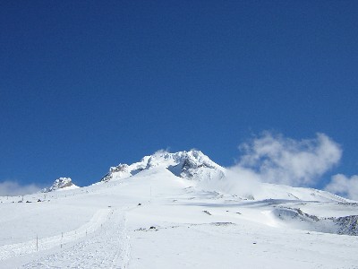 Mt. Hood from the Mile