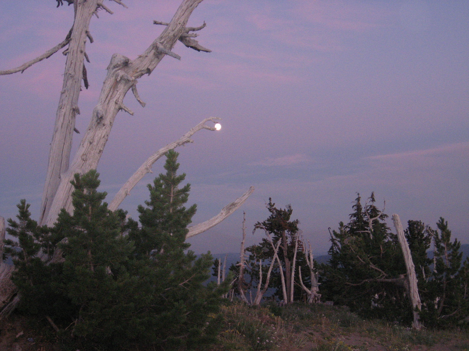 Mt. Hood moon