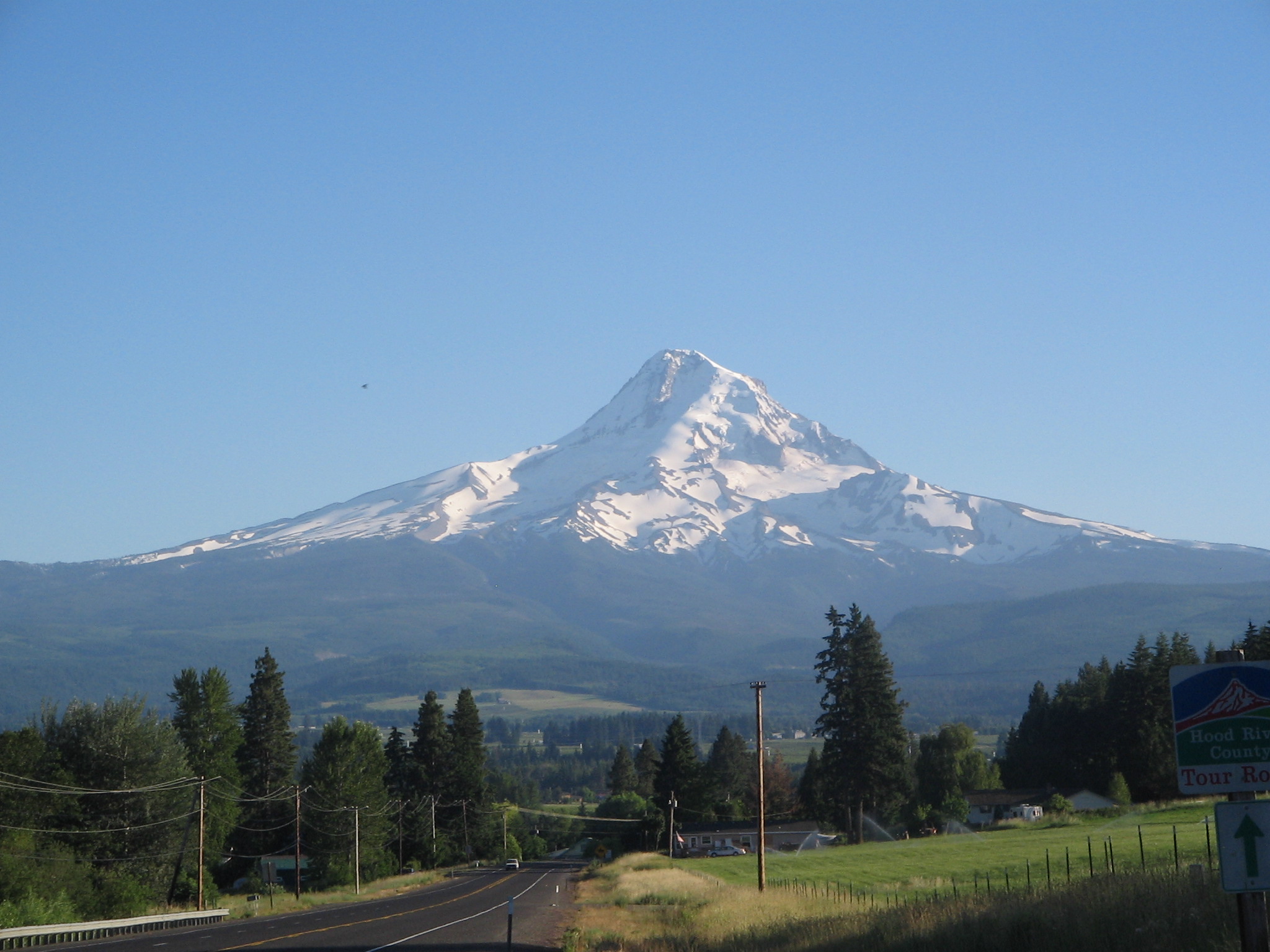 Mt. Hood