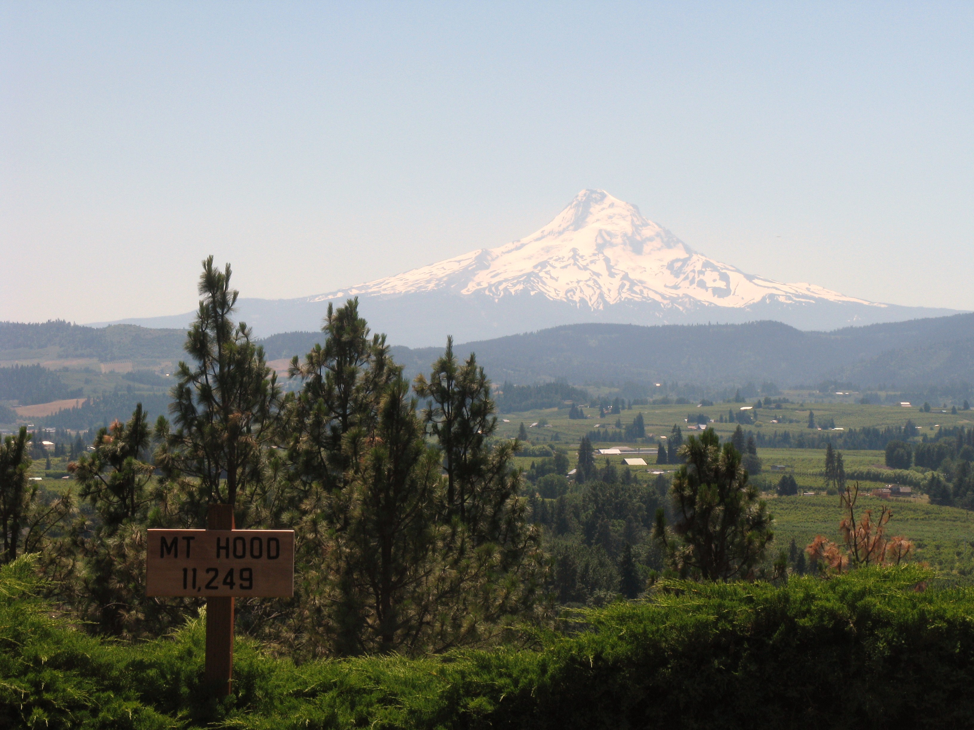Mt Hood