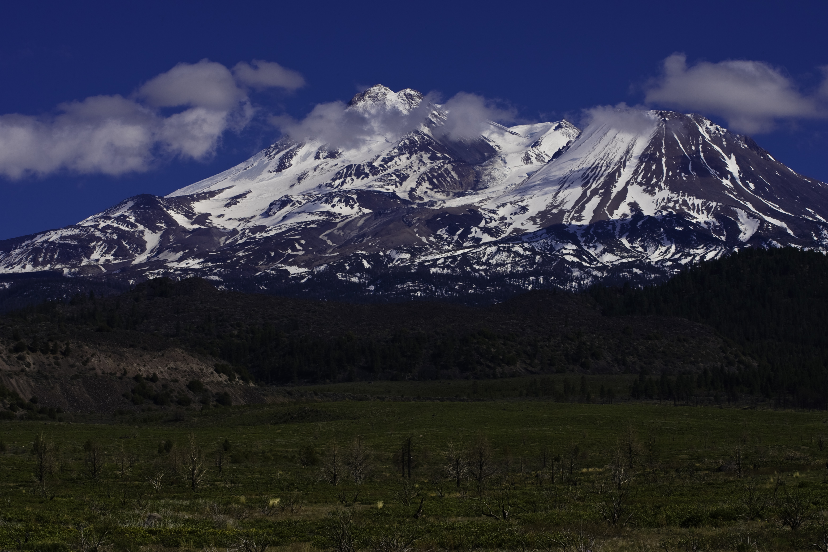 Mt. Shasta