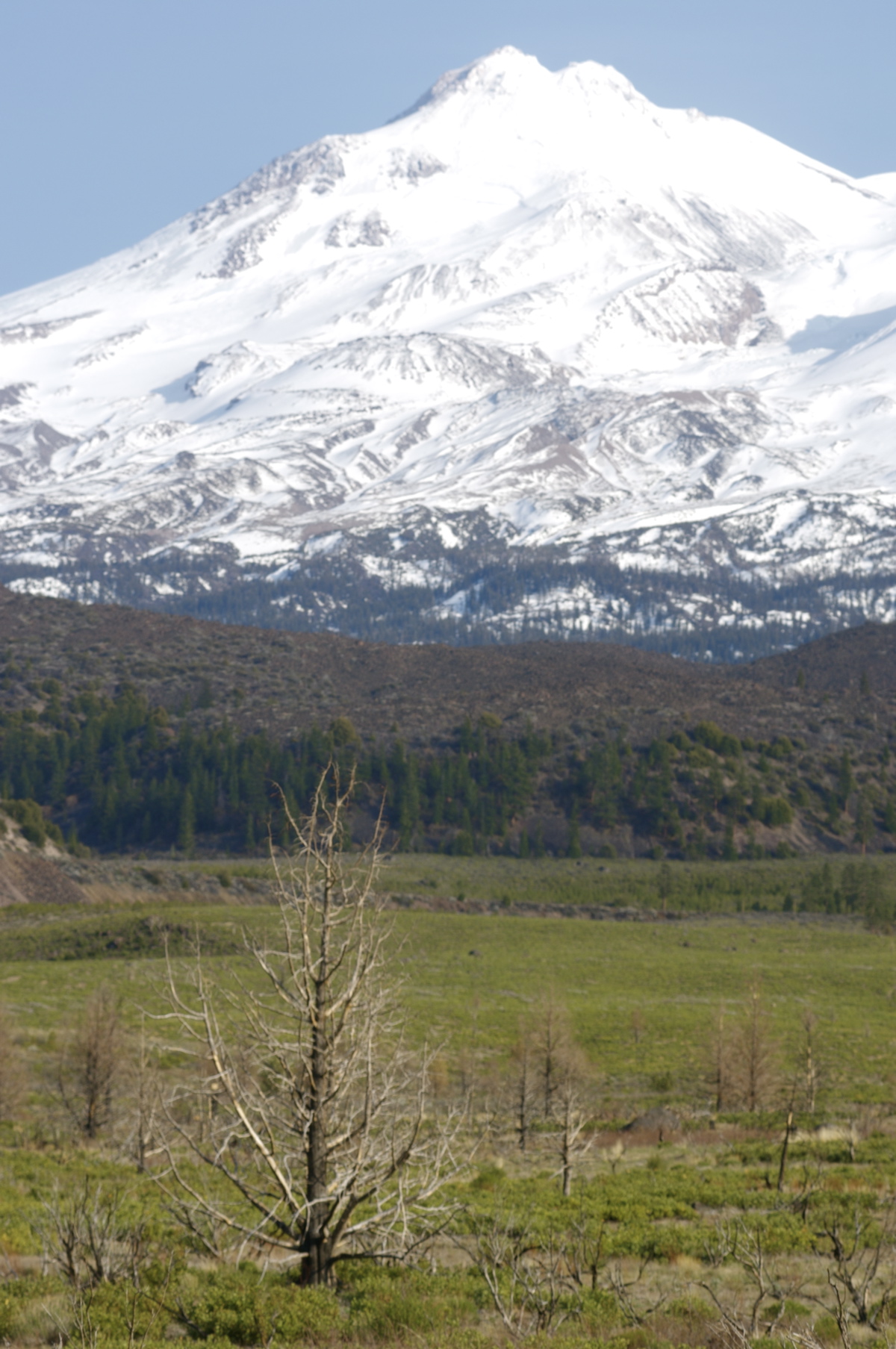 Mt Shasta