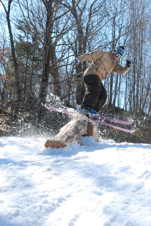 Mt southington CT tree jib