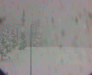 Much Love from Colorado