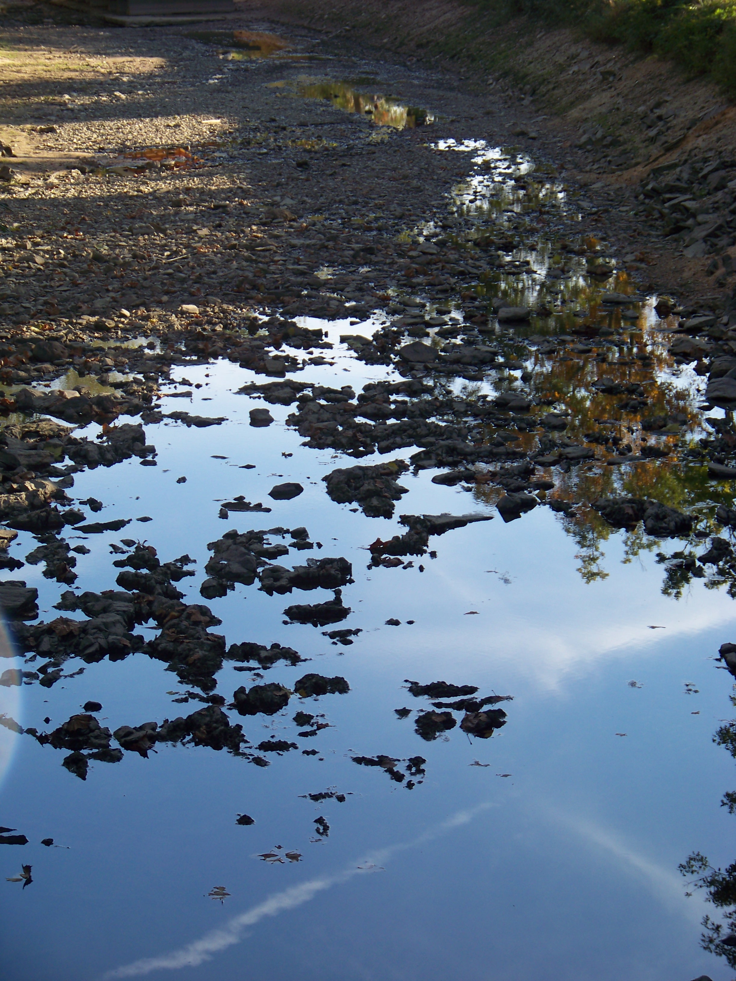 Mud Puddle