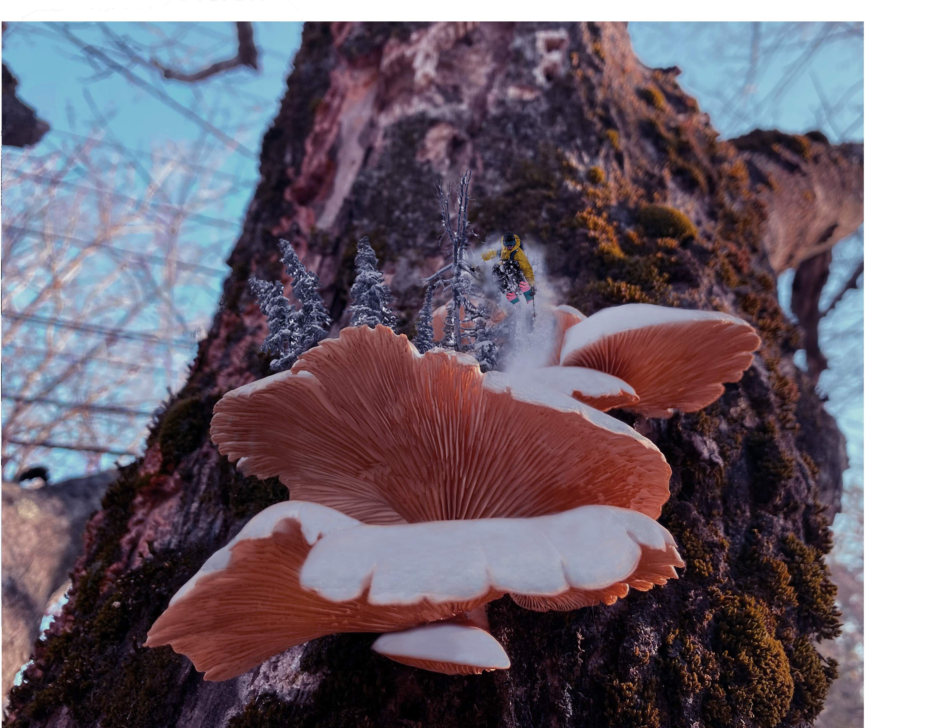 Mushroom Pow Pillow