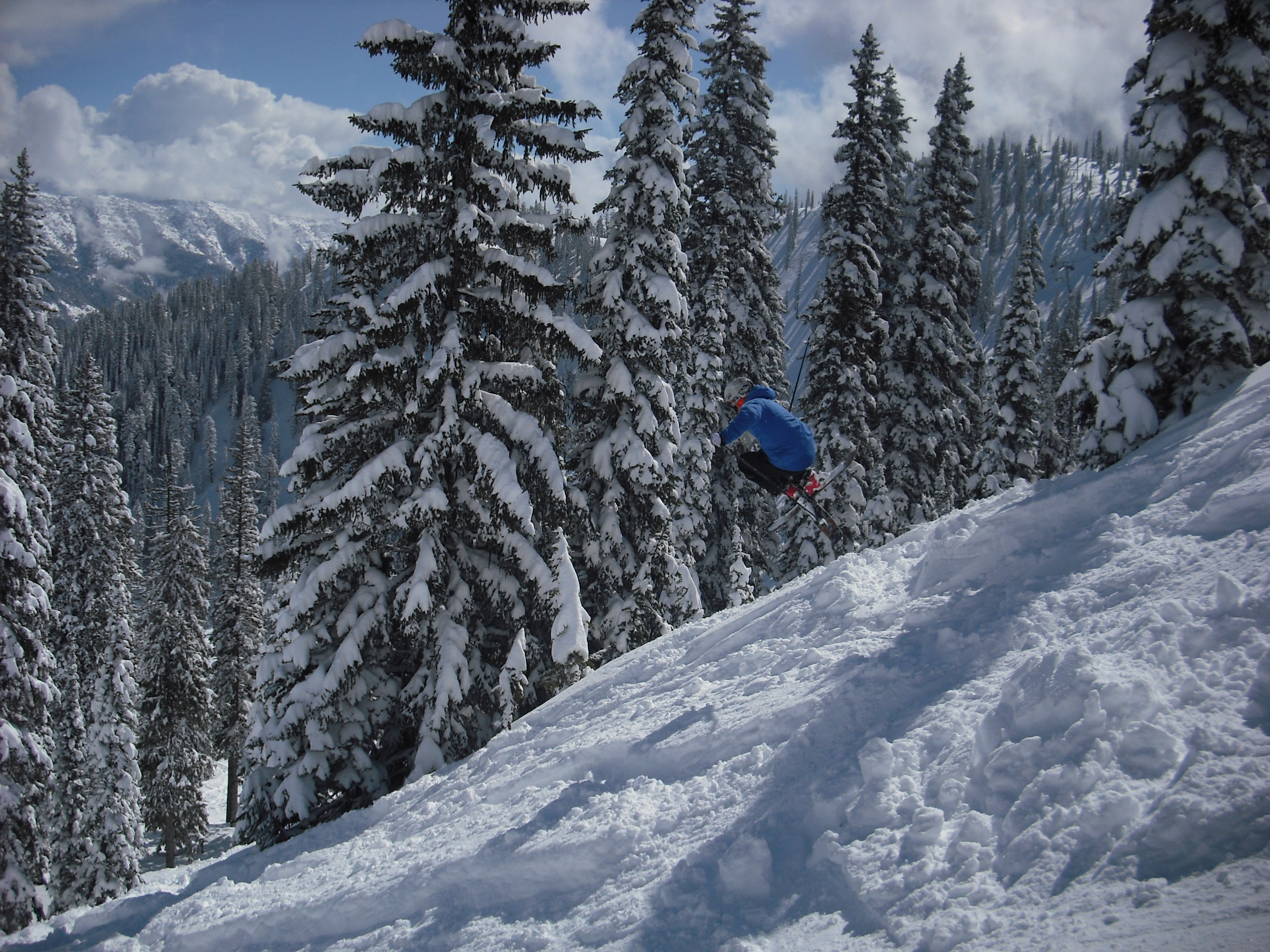 Mute grab in Fernie BC