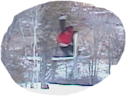 Mute grab taken from video so its a little blurry and i had to cut it down so its not a full scenary