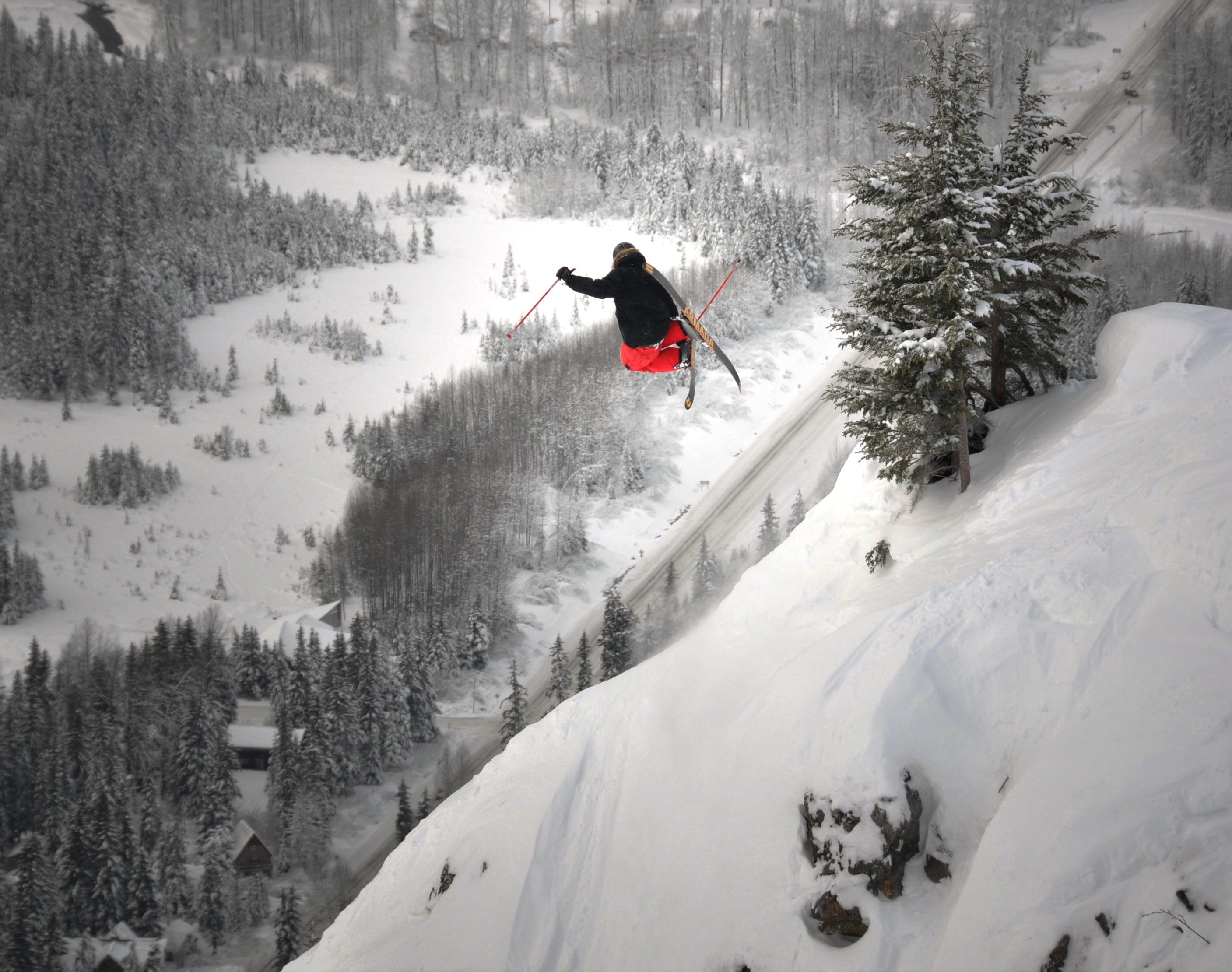 Mute on an icy day in ak