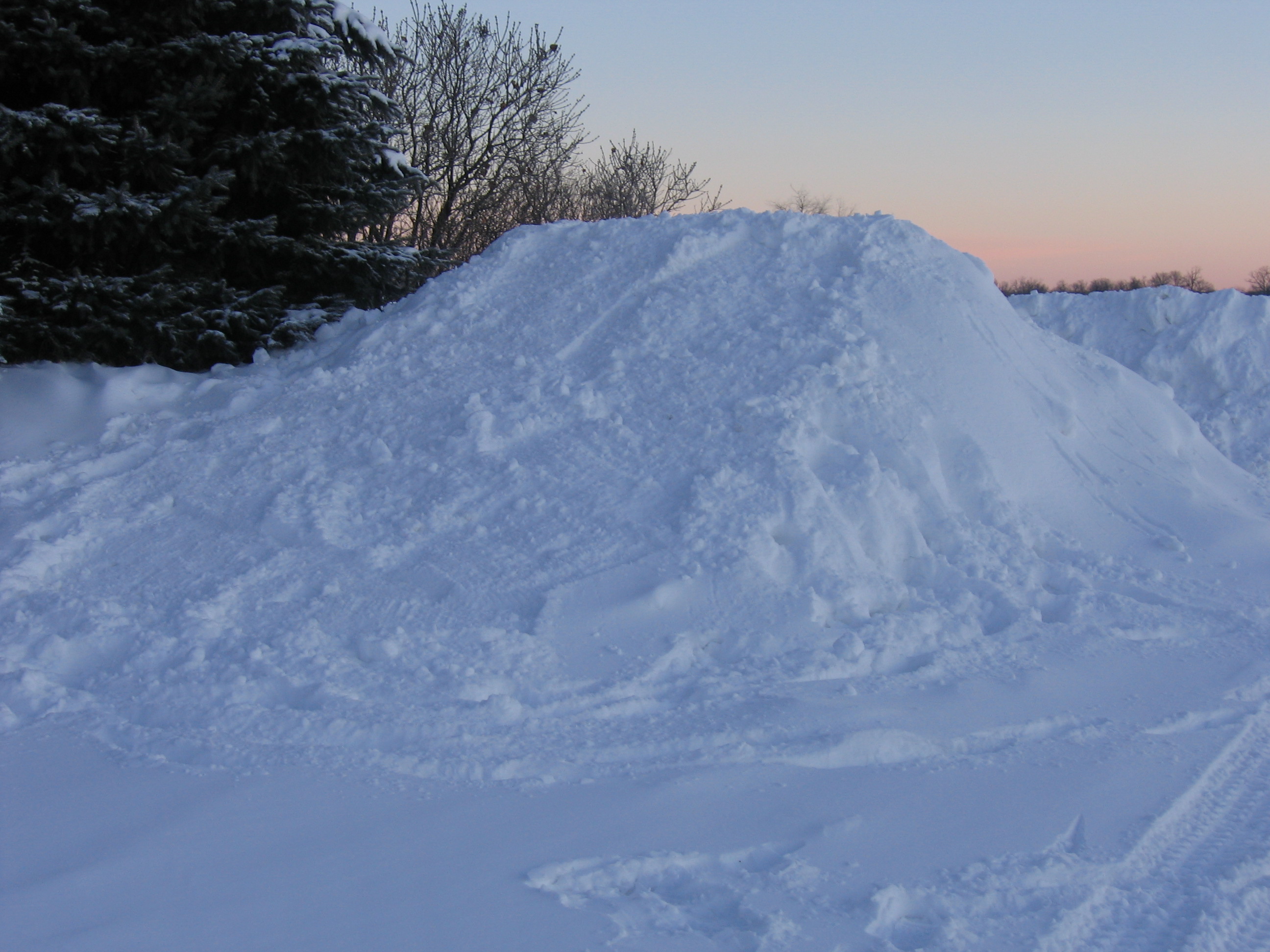 My Backyard Jump Landing