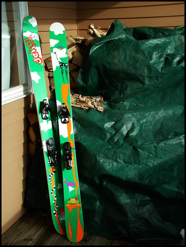 My Bacons mounted w/ Ninja 916's