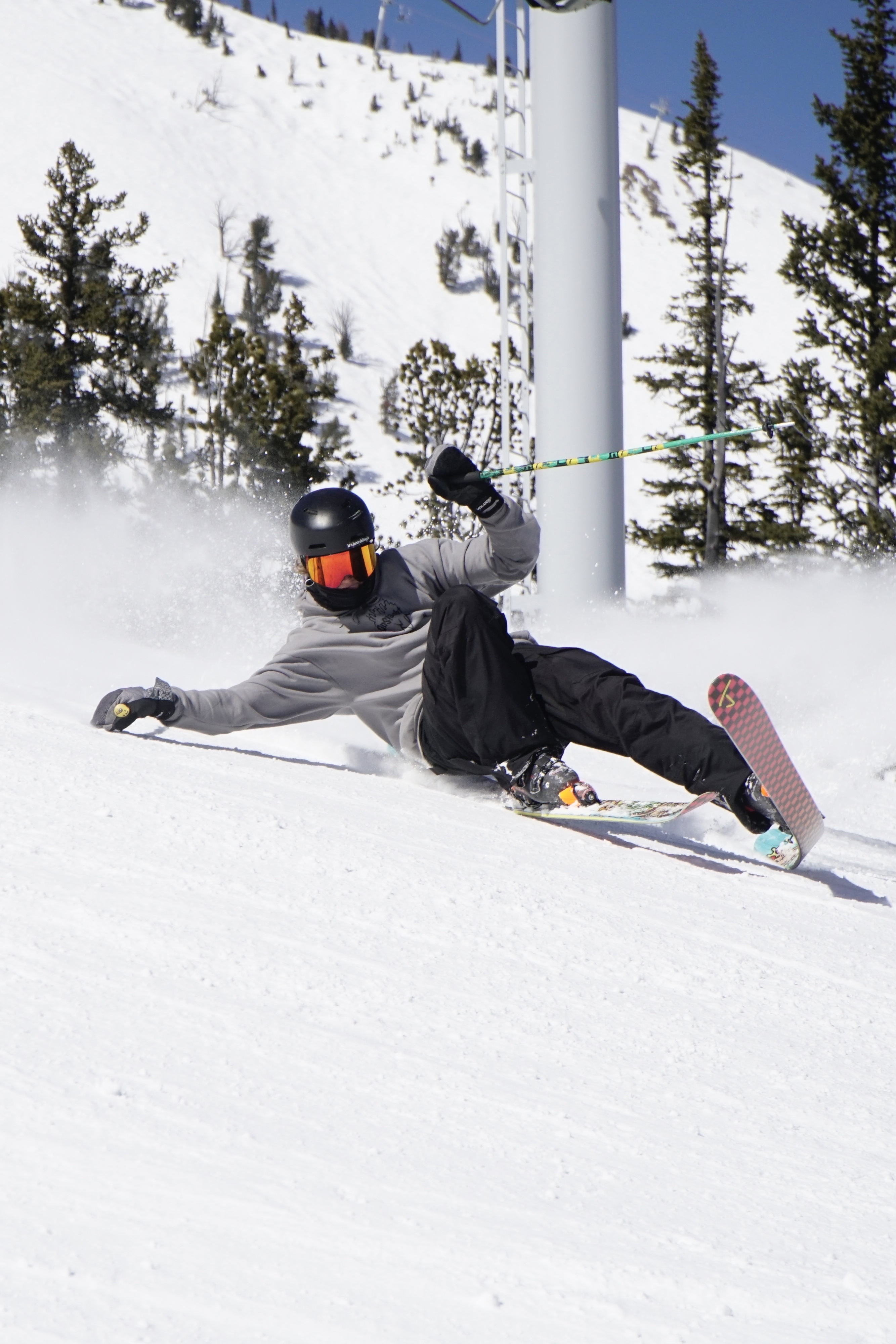 My best B-dog impression 