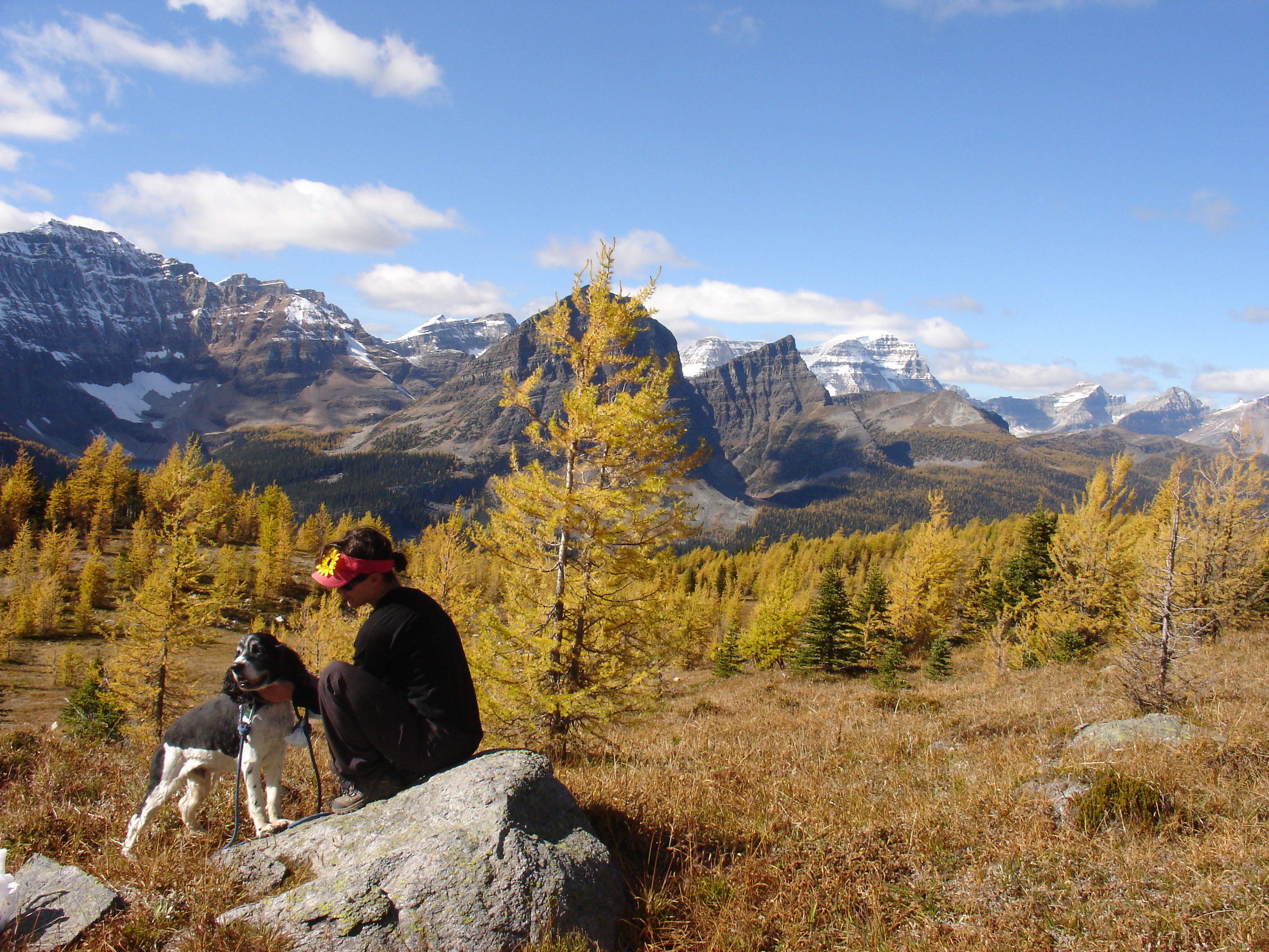 My chin, scratch it!