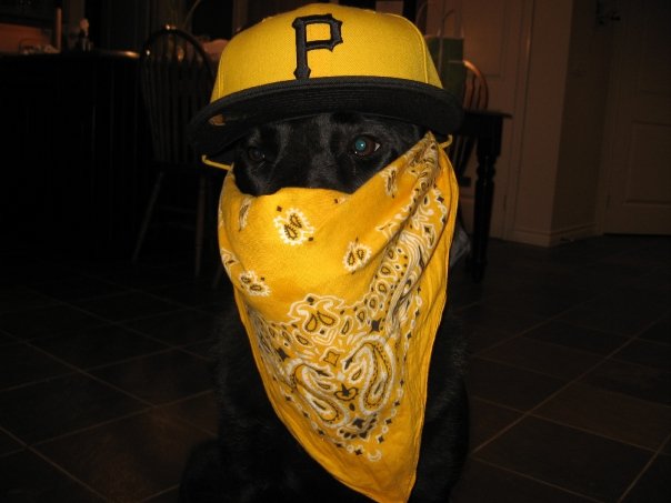 My dog chillin in his crib