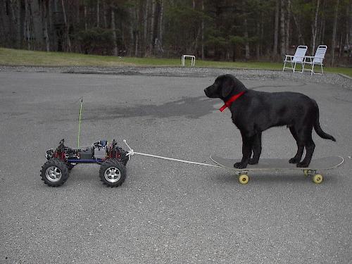 my dog is soooo kick ass...