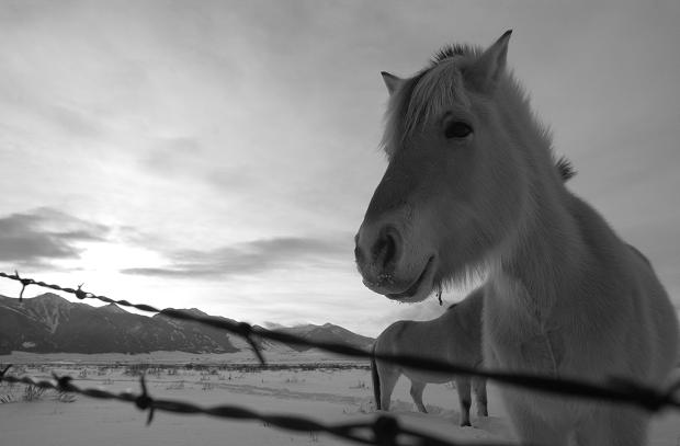 My favorite shot of the year