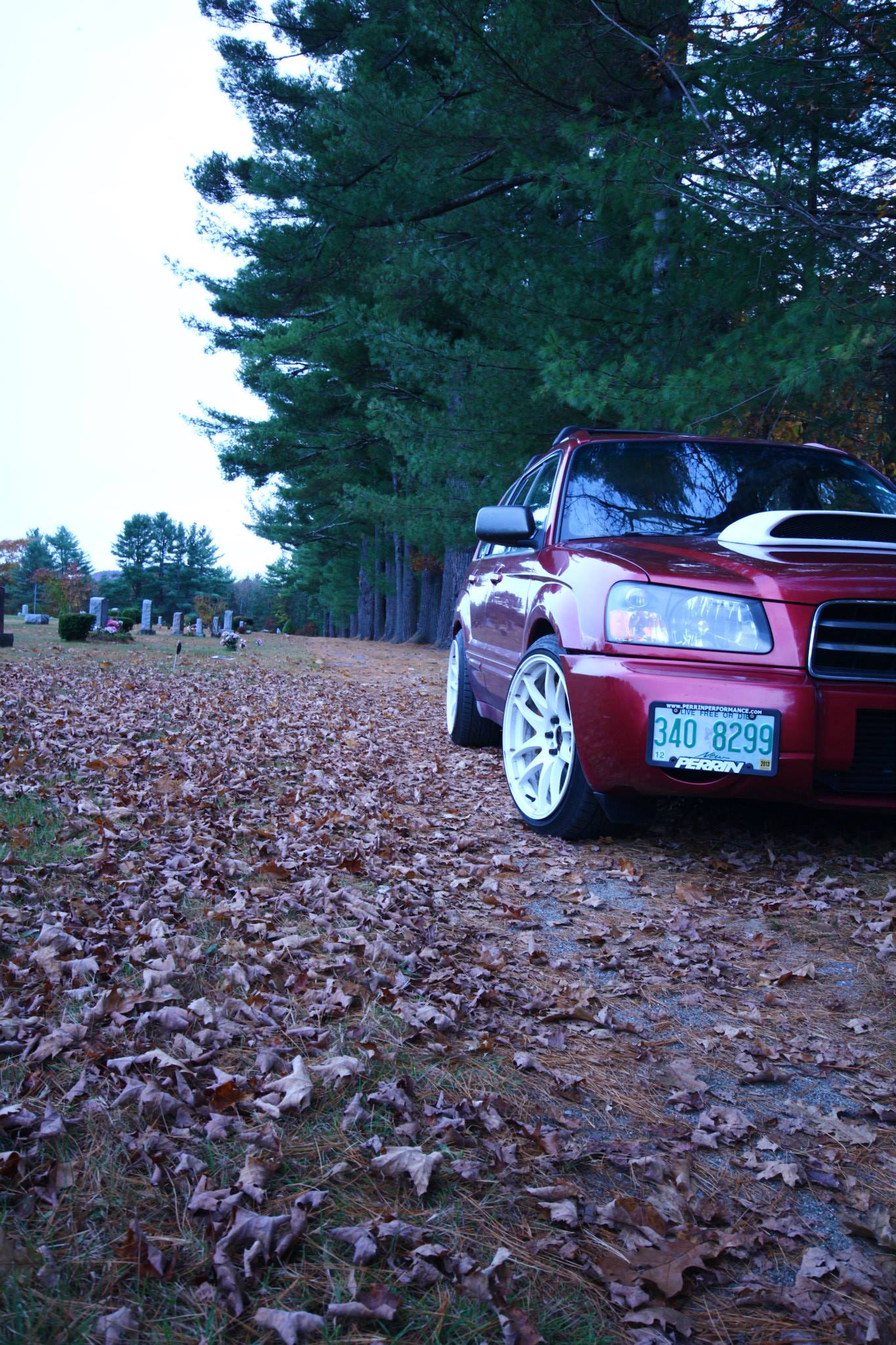 my fozzy