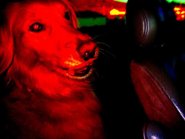 my heart is literally jumping for you