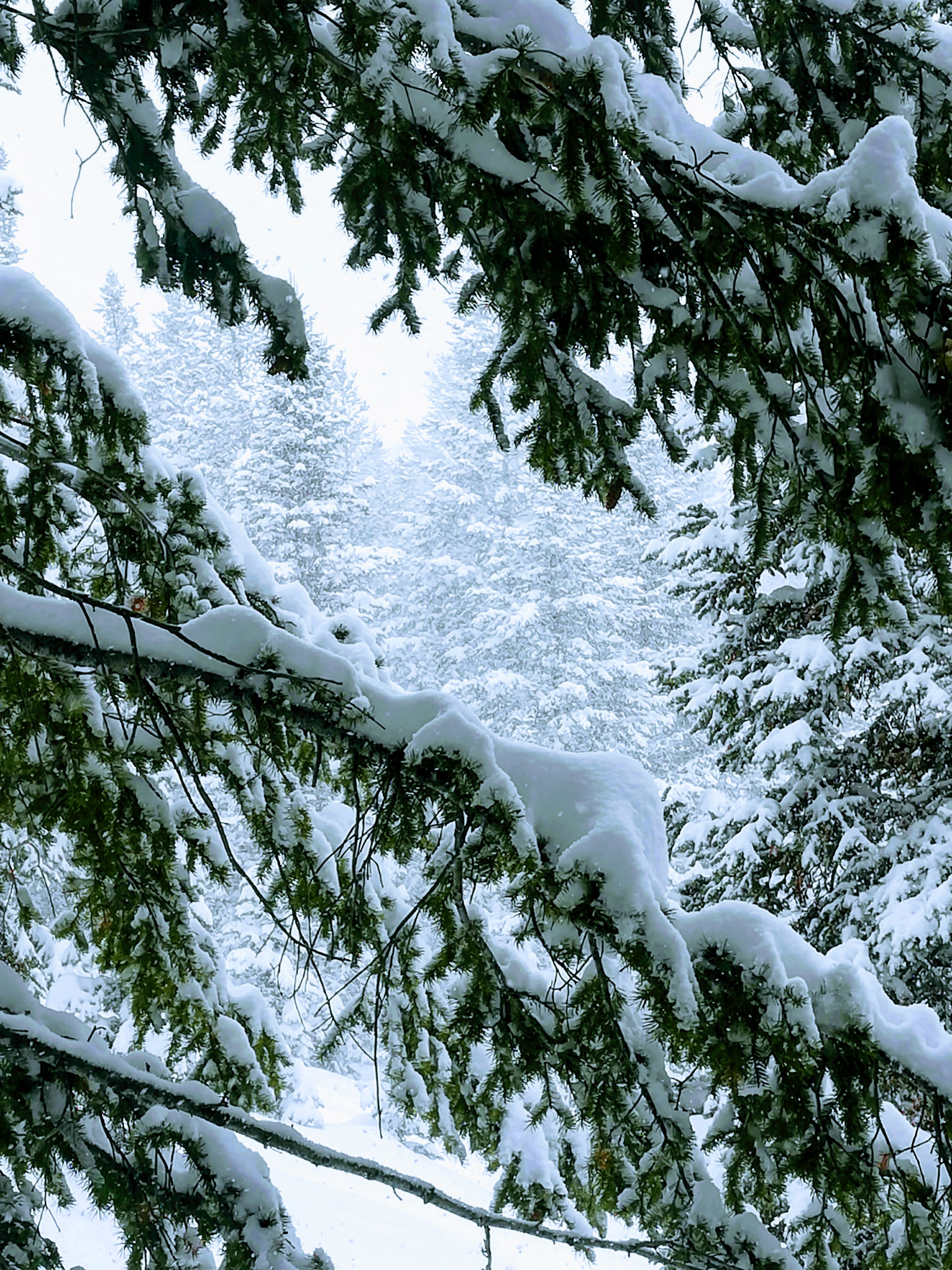 My kind of spring day