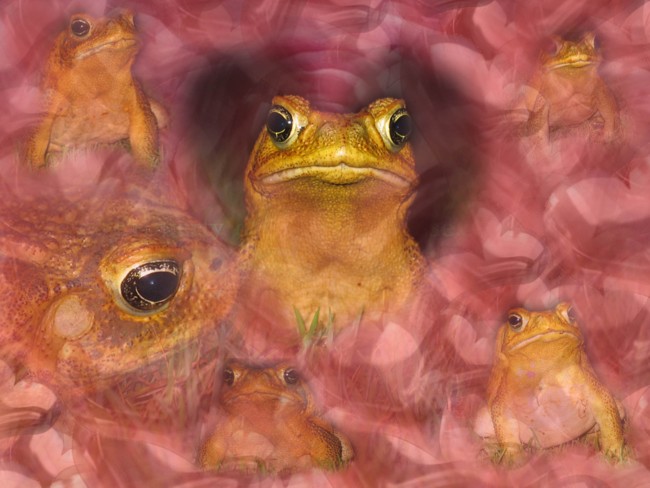 My Lust for you is Throbbing...