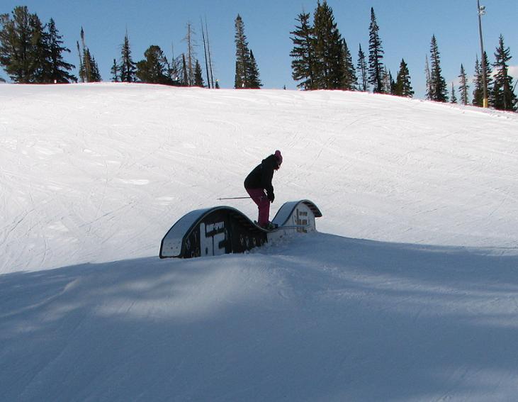 My mom figured out how to use a digital camera.