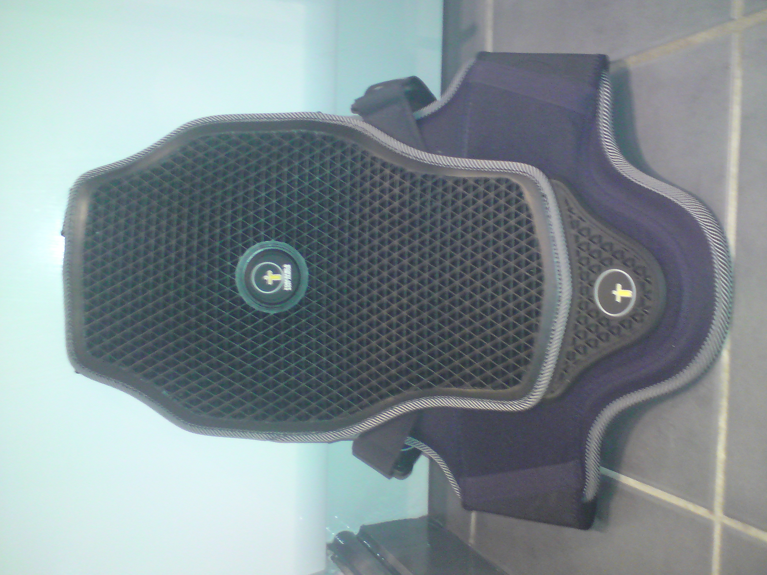 My new forcefield back protector