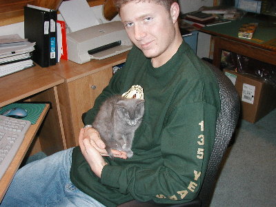 my sister's new kitten