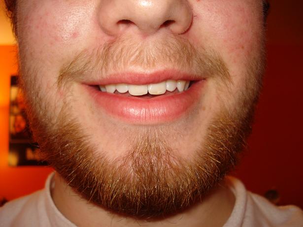 My sweet Irish beard