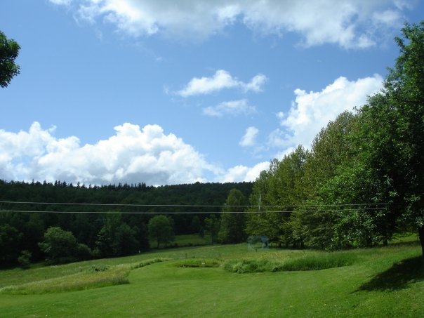 My view. not fisheye