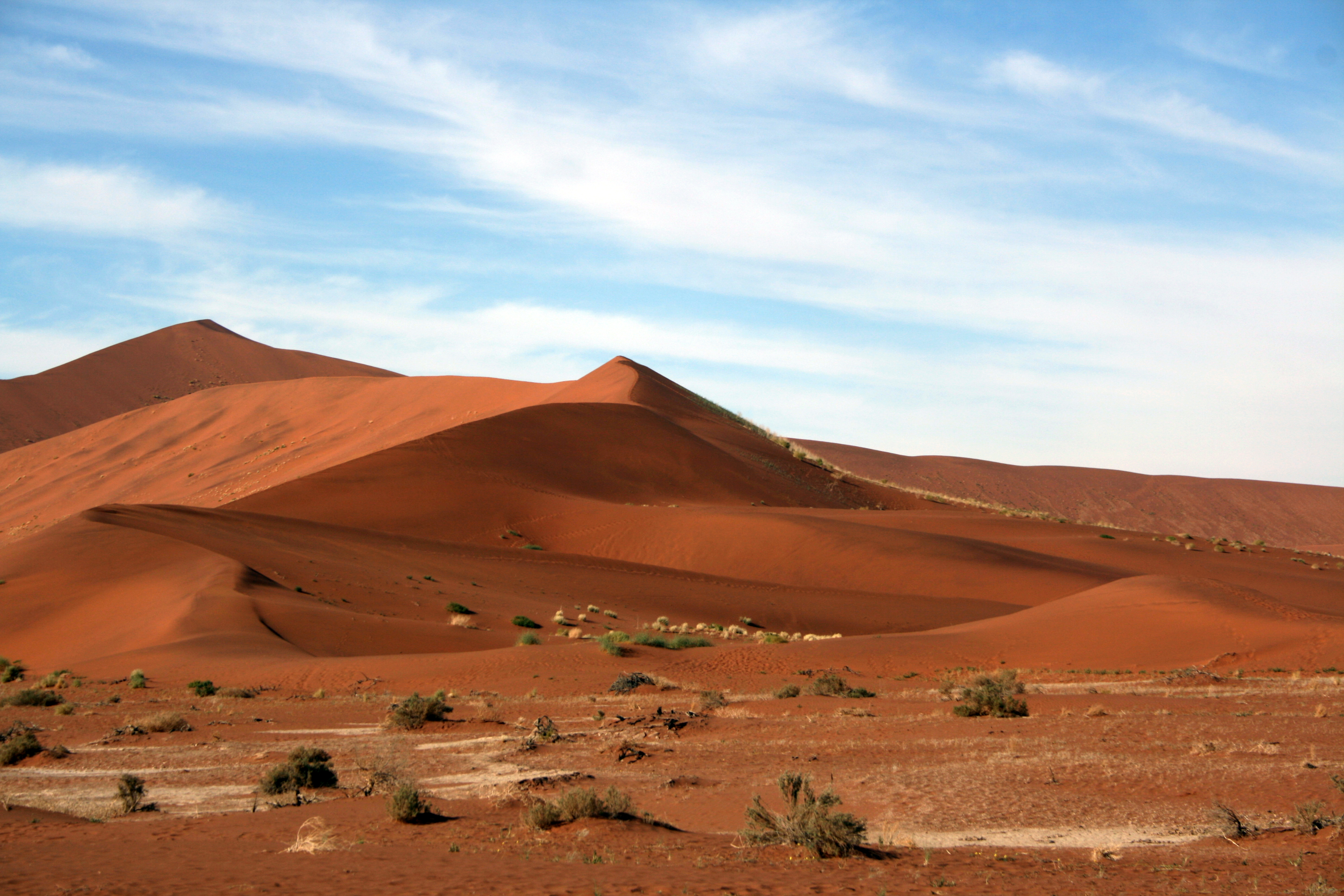 Namib Desert, Namibia