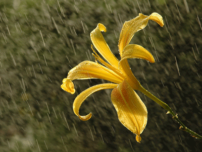 Nature Photography. What do you think?