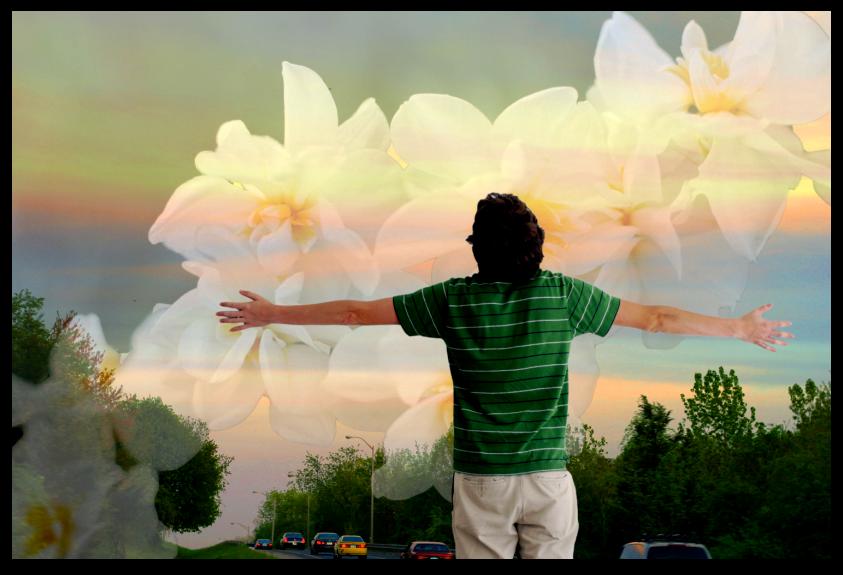 neat assortment of cool