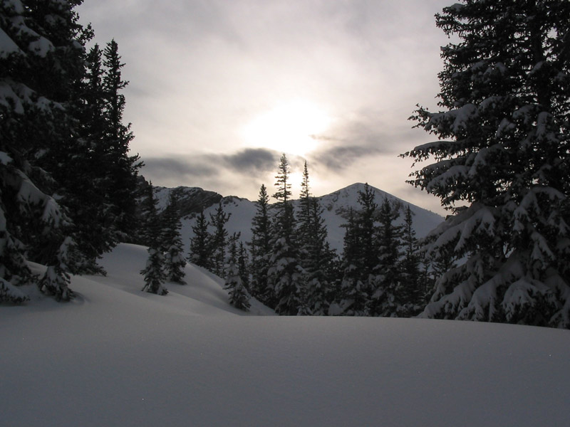 never call last run...