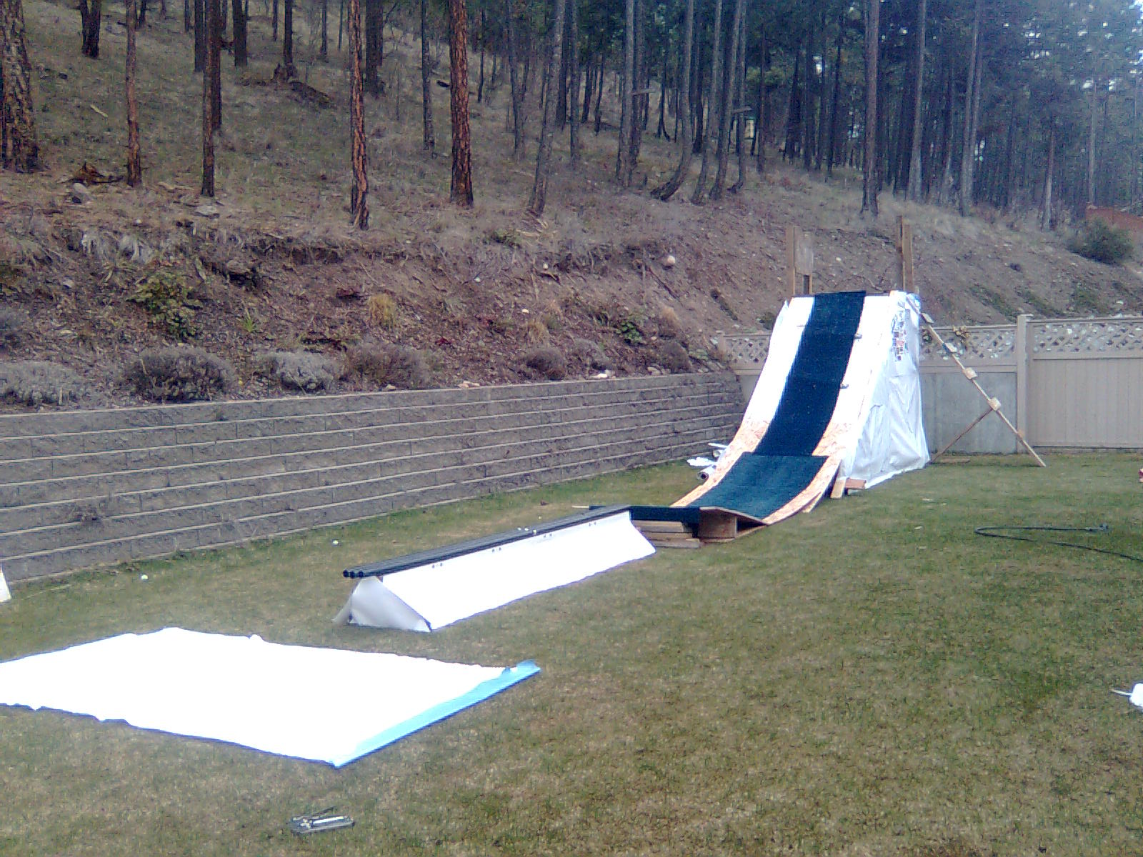 NEW backyard summer setup CMNT PLSE