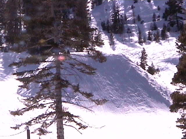 New bottom jump at alpine