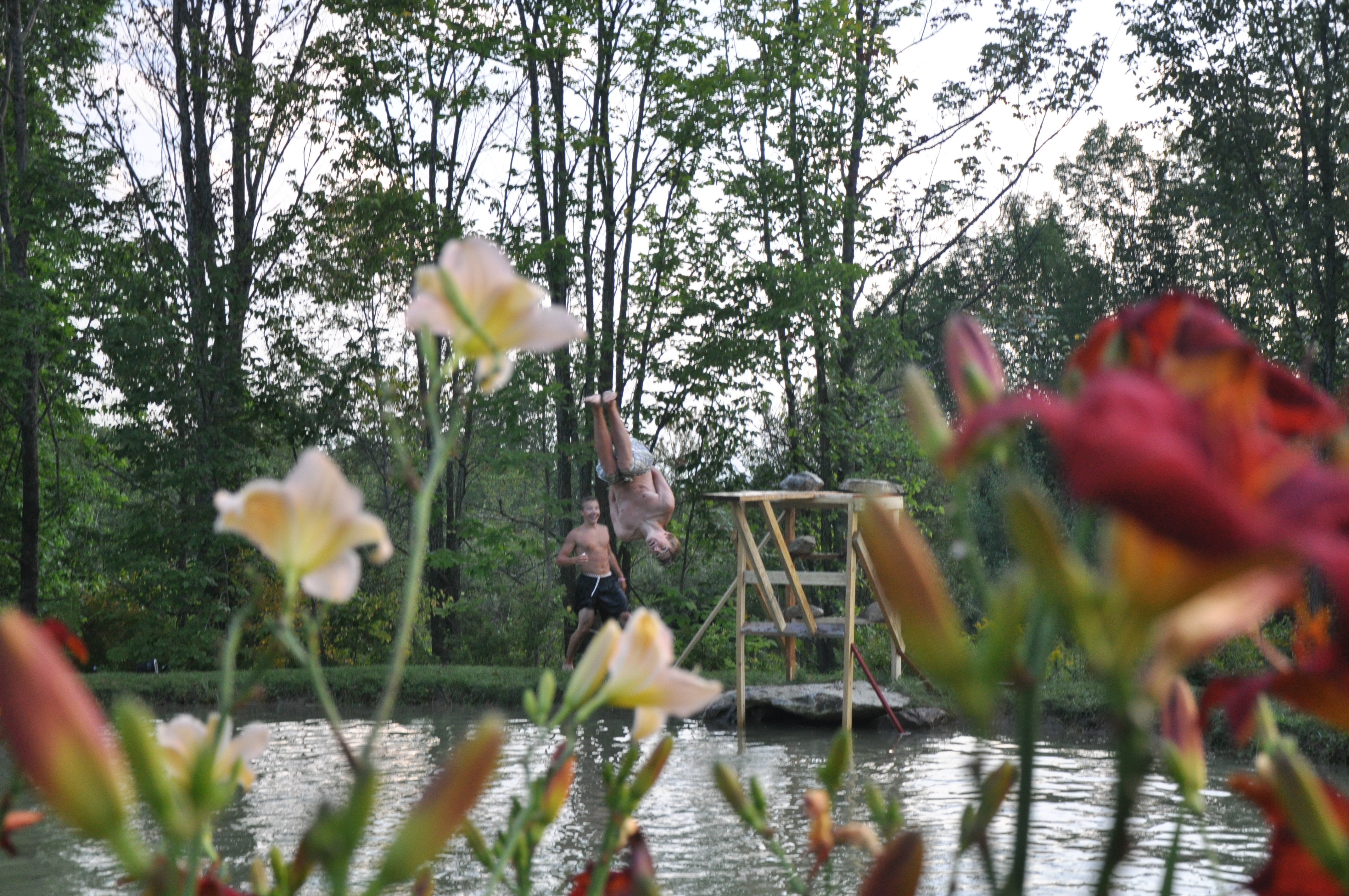 New diving platform thing.