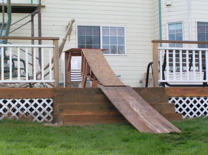 new in run for summer