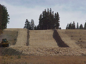 new  june mt superditch